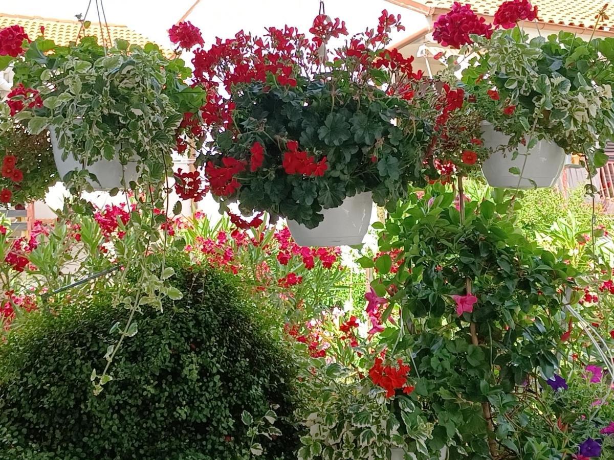 PUY Andela Apartment מראה חיצוני תמונה